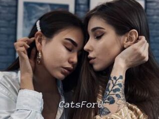 CatsForU
