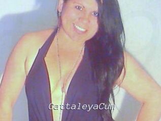 CattaleyaCum