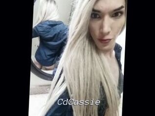 CdCassie Tel 69 Salopes