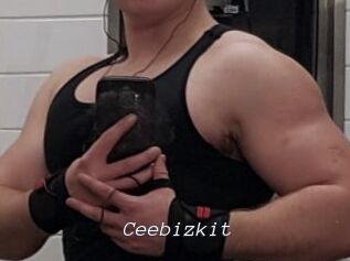 Ceebizkit