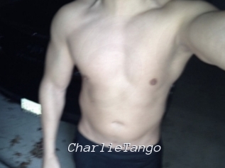 CharlieTango Tel 69 Salopes