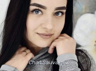 ChatSauvageZ Tel 69 Salopes