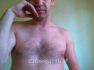 Ciumegul1977