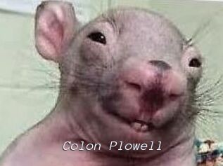 Colon_Plowell