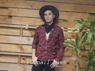 Conall_Hawk