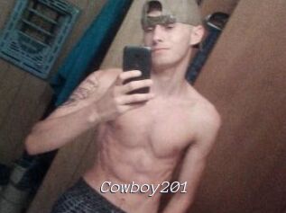 Cowboy201