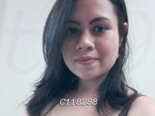 C118288
