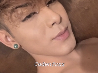 Cadenfoxx