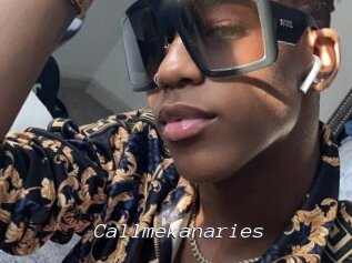 Callmekanaries