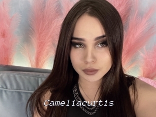 Cameliacurtis