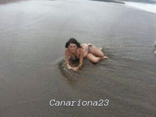 Canariona23