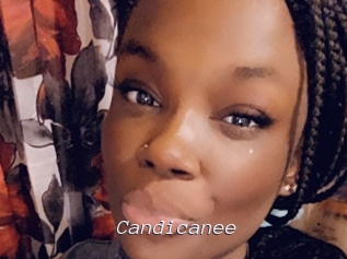 Candicanee