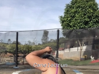 Canelabrun