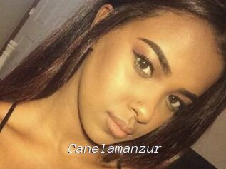 Canelamanzur