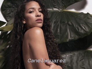 Canelasuarez