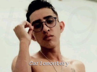 carlomontery Tel 69 Salopes