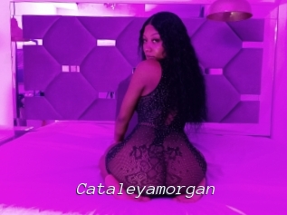 Cataleyamorgan