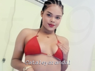 Cataleyarandal