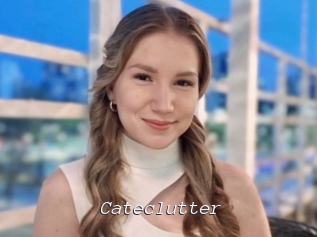 Cateclutter