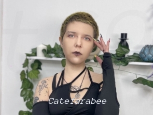Catefarabee