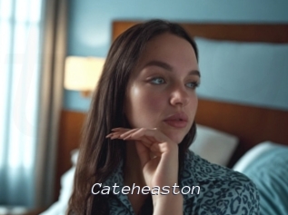 Cateheaston