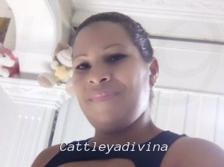 cattleyadivina Tel 69 Salopes