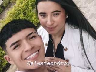 celesteandroy Tel 69 Salopes