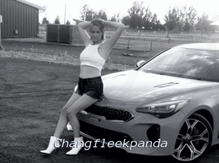 Changfleekpanda