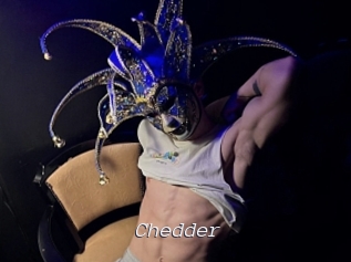 Chedder