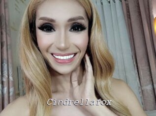 Cindrellafox