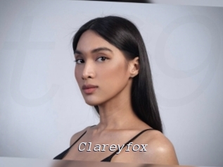 clareyfox Tel 69 Salopes