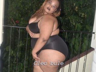 Cleo_bule