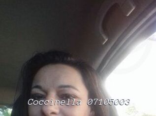 Coccinella-07105003