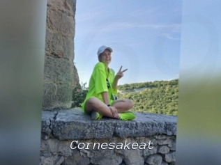 cornesakeat Tel 69 Salopes