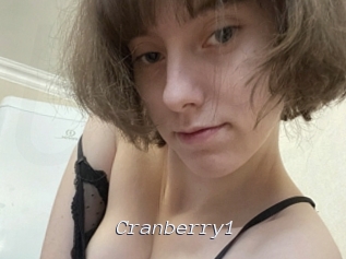cranberry1 Tel 69 Salopes