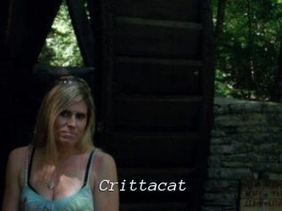Crittacat