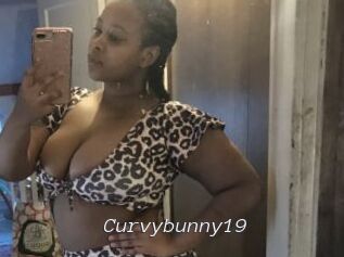 Curvybunny19