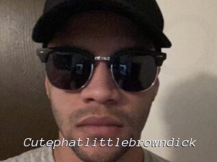 Cutephatlittlebrowndick