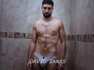 DAVID_ZANAS