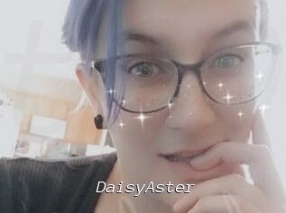 DaisyAster
