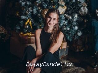 DaisyDandelion