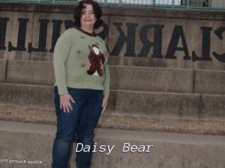 Daisy_Bear