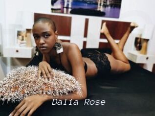 Dalia_Rose