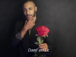 DamFenix