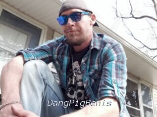 DangPigBenis