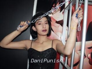 DaniPunish