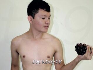 Darkboy18