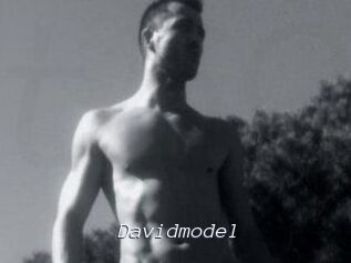 Davidmodel
