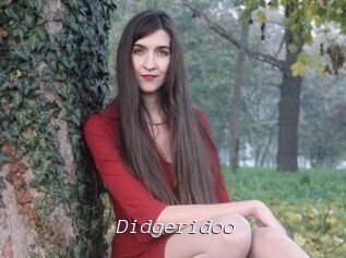 Didgeridoo Tel 69 Salopes