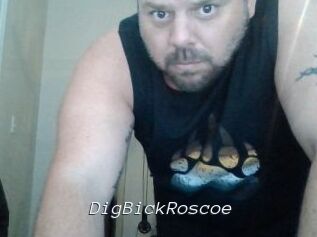 DigBickRoscoe